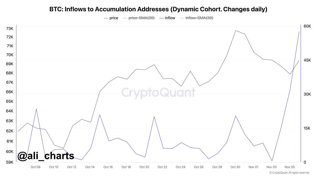 Analyzing the Strategic Moves Behind Bitcoin Accumulation