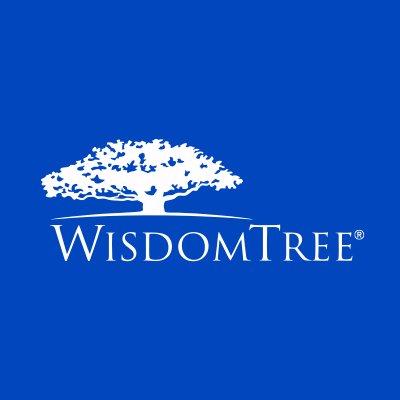 Strategic Recommendations for Investors Following the WisdomTree Filing