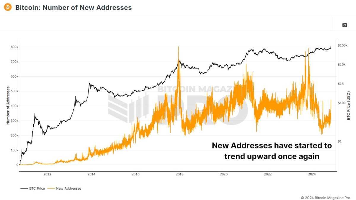 Bitcoin Price Surge: Factors Driving Anticipated Gains Ahead of January