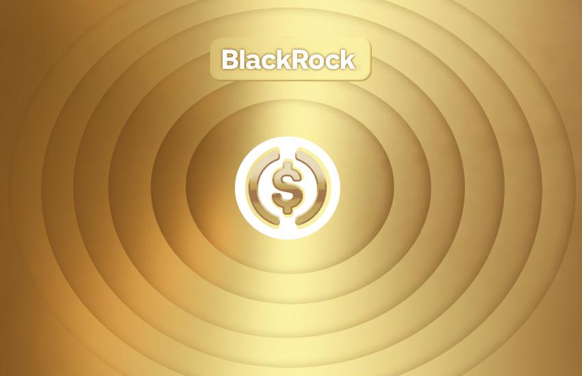 Ethena and Securitize pitch upcoming BlackRock-fueled stablecoin in Spark’s $1 billion tokenization play