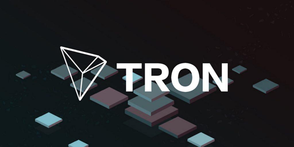 Strategic Insights: Recommendations for Engaging with TRON Investments