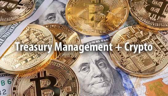 Analyzing Potential Risks and Future Implications of a Crypto-Infused Treasury