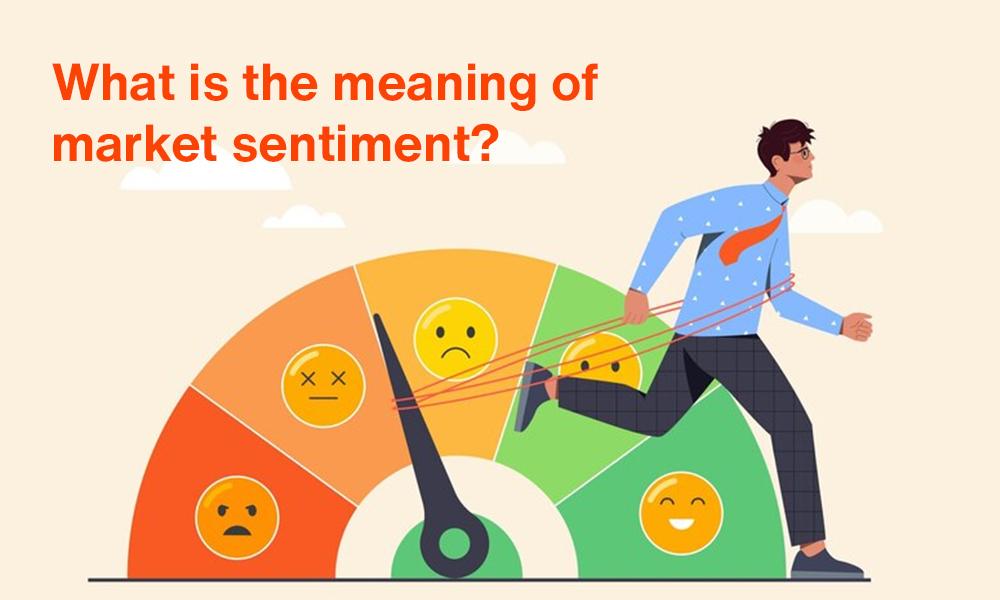 Market Sentiment Shift: Understanding Investor Reactions to Institutional Involvement