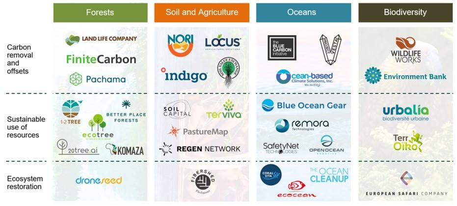 Future-Proofing the Cloud: Recommendations for Effective Implementation of Carbon Removal Solutions